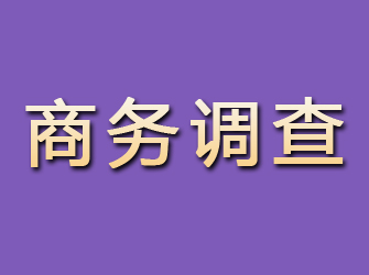 黑山商务调查